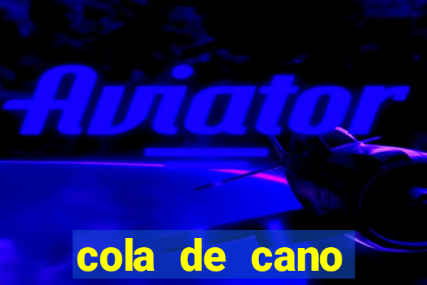 cola de cano quanto tempo para secar